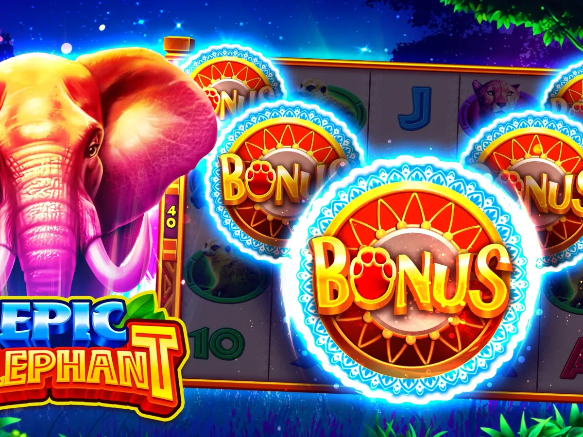 Akses beruangplay VIP Premium screenshot